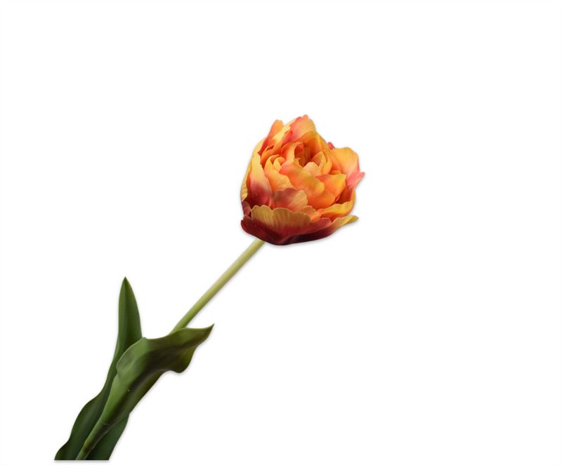 Tulp steel 84cm roz/grn 12/ds