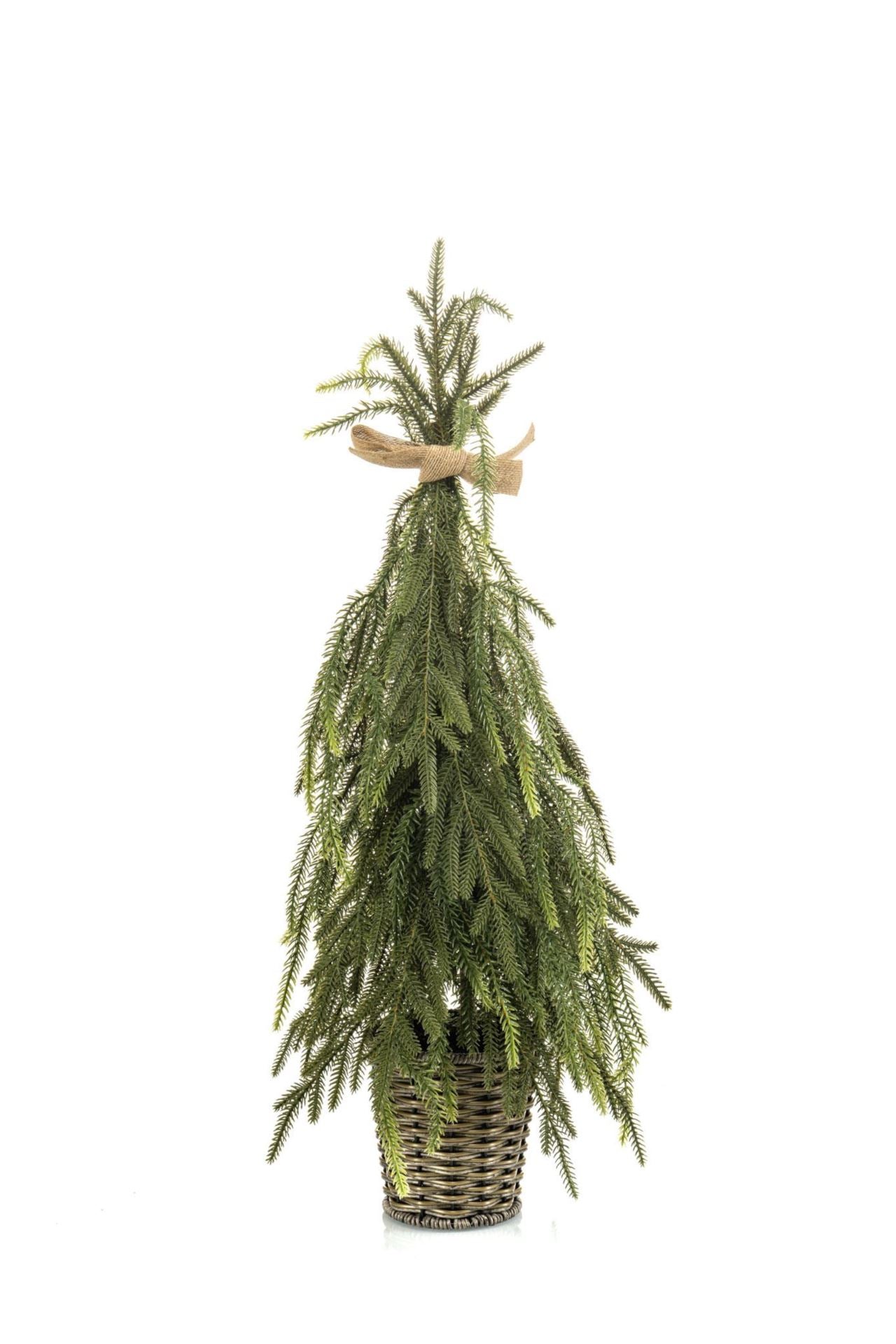 Pine tree in pot 65cm