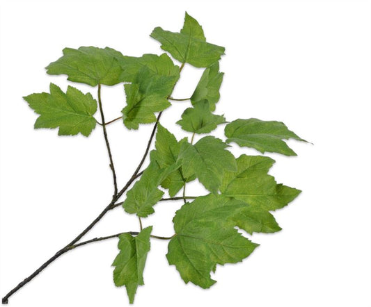 Tak 81cm blad groen