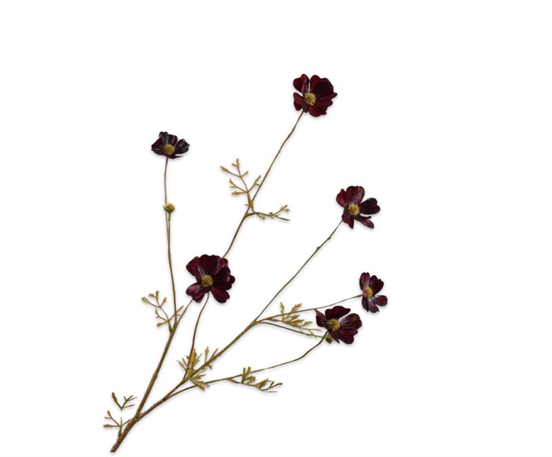 cosmos tak bordeaux rt 77cm