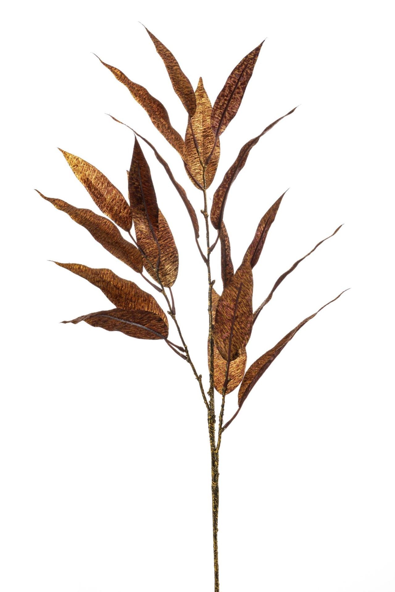Eucalyptus spray copper flamed 80cm