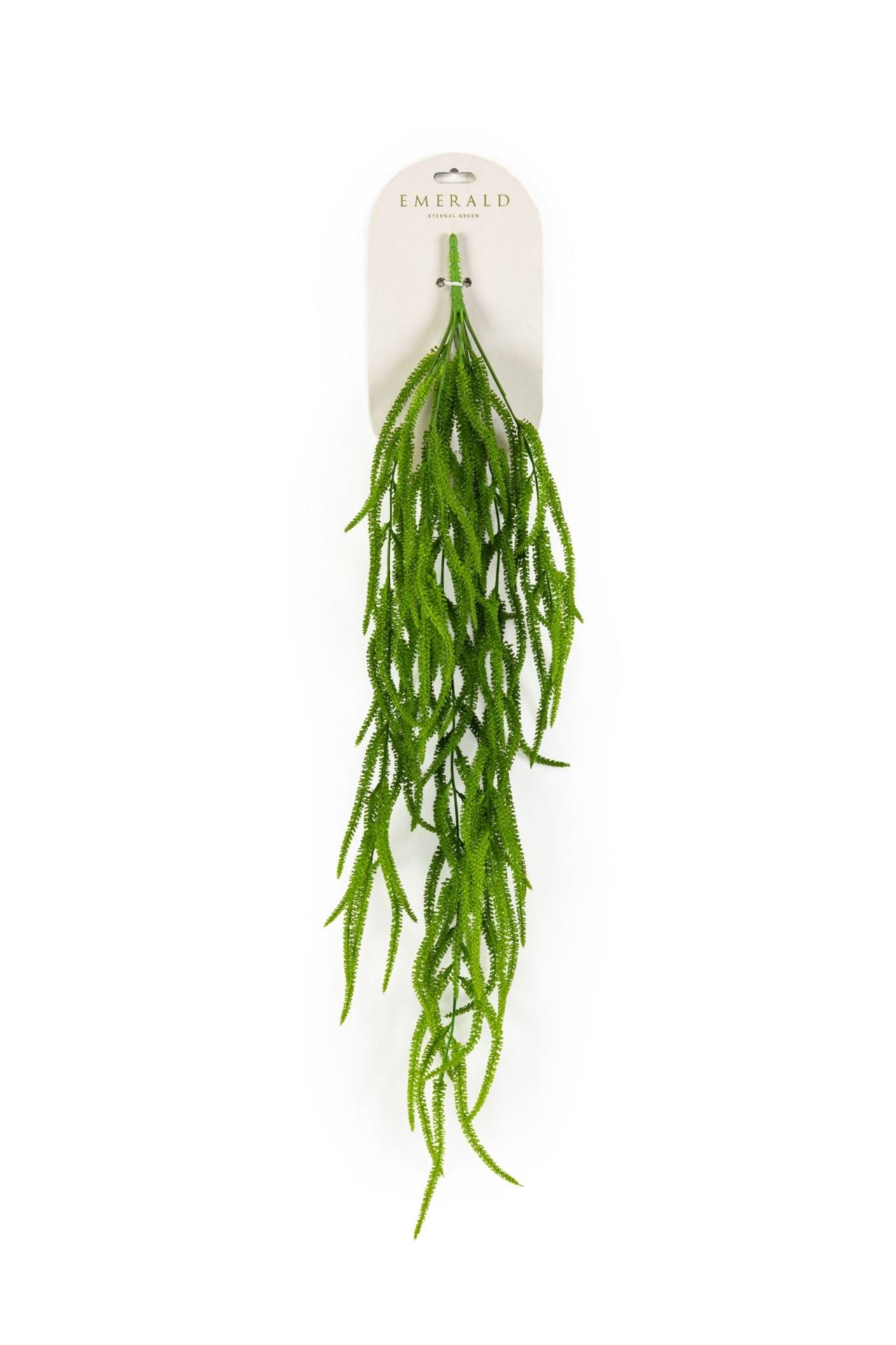 Amaranthus hangende struik grn 80cm