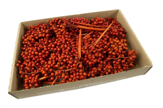 Canella oranje30 st