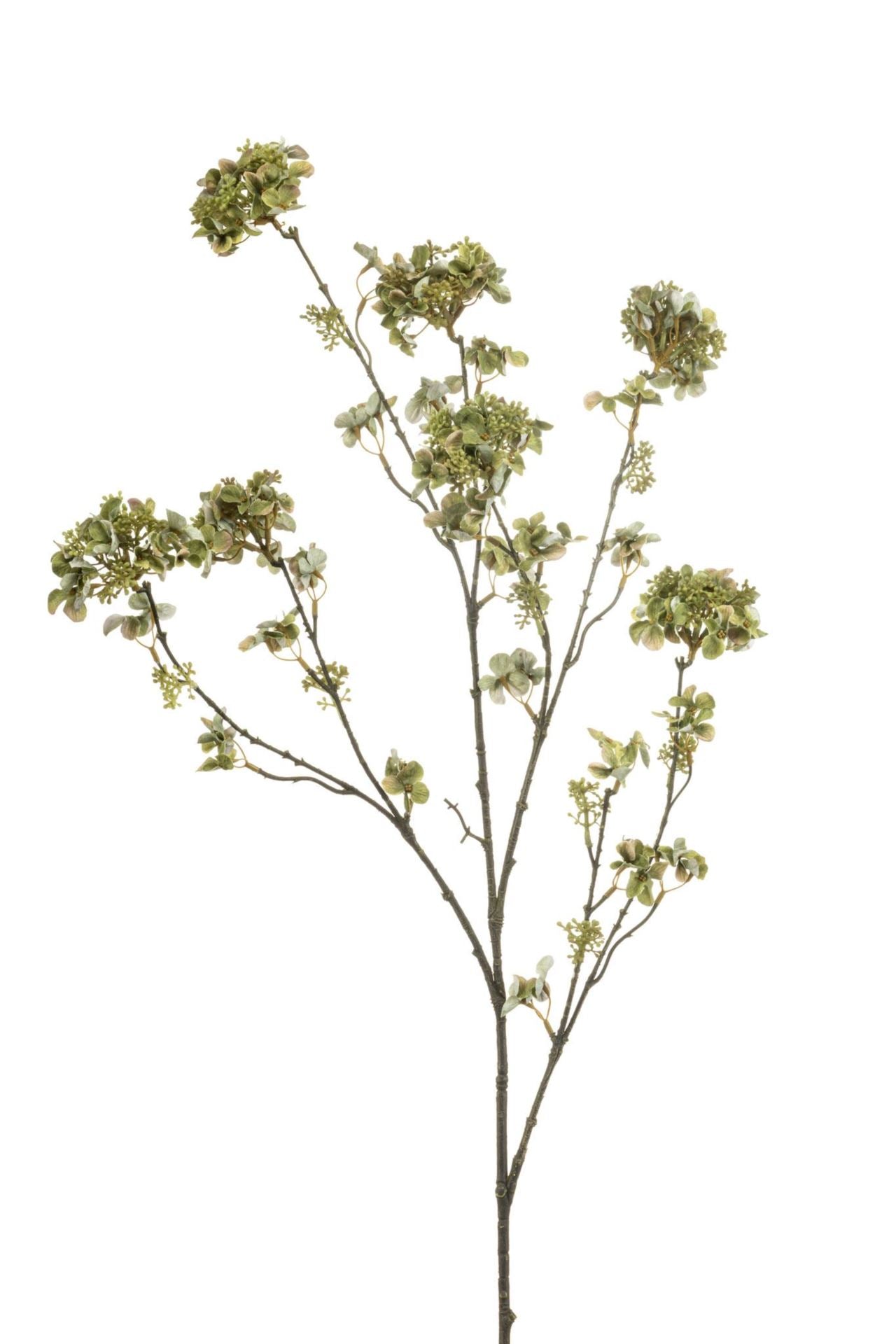 Hydrangea maple spray green 120cm