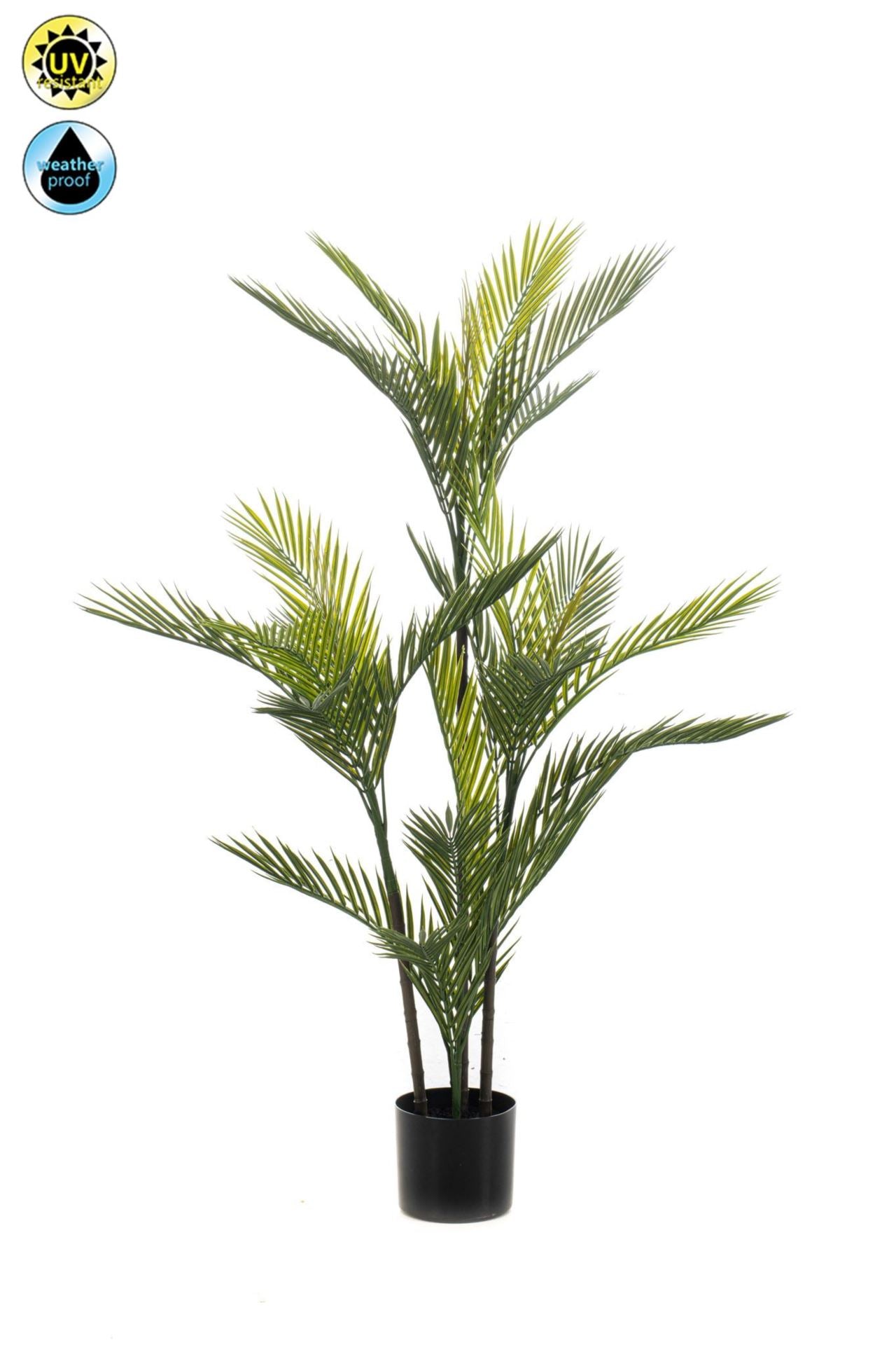 Palm UV 140cm