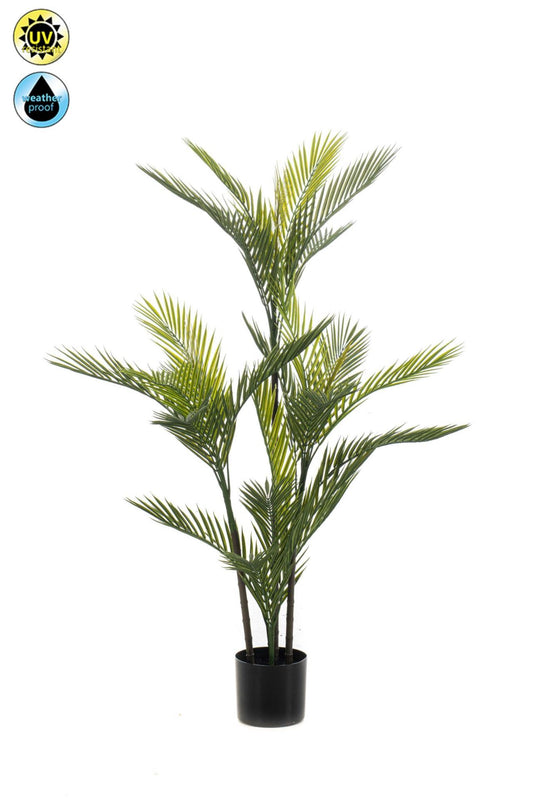 Palm UV 140cm