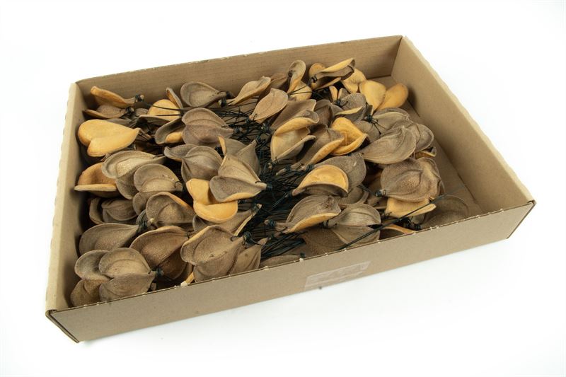 Bolsa klein o/dr. naturel100 st