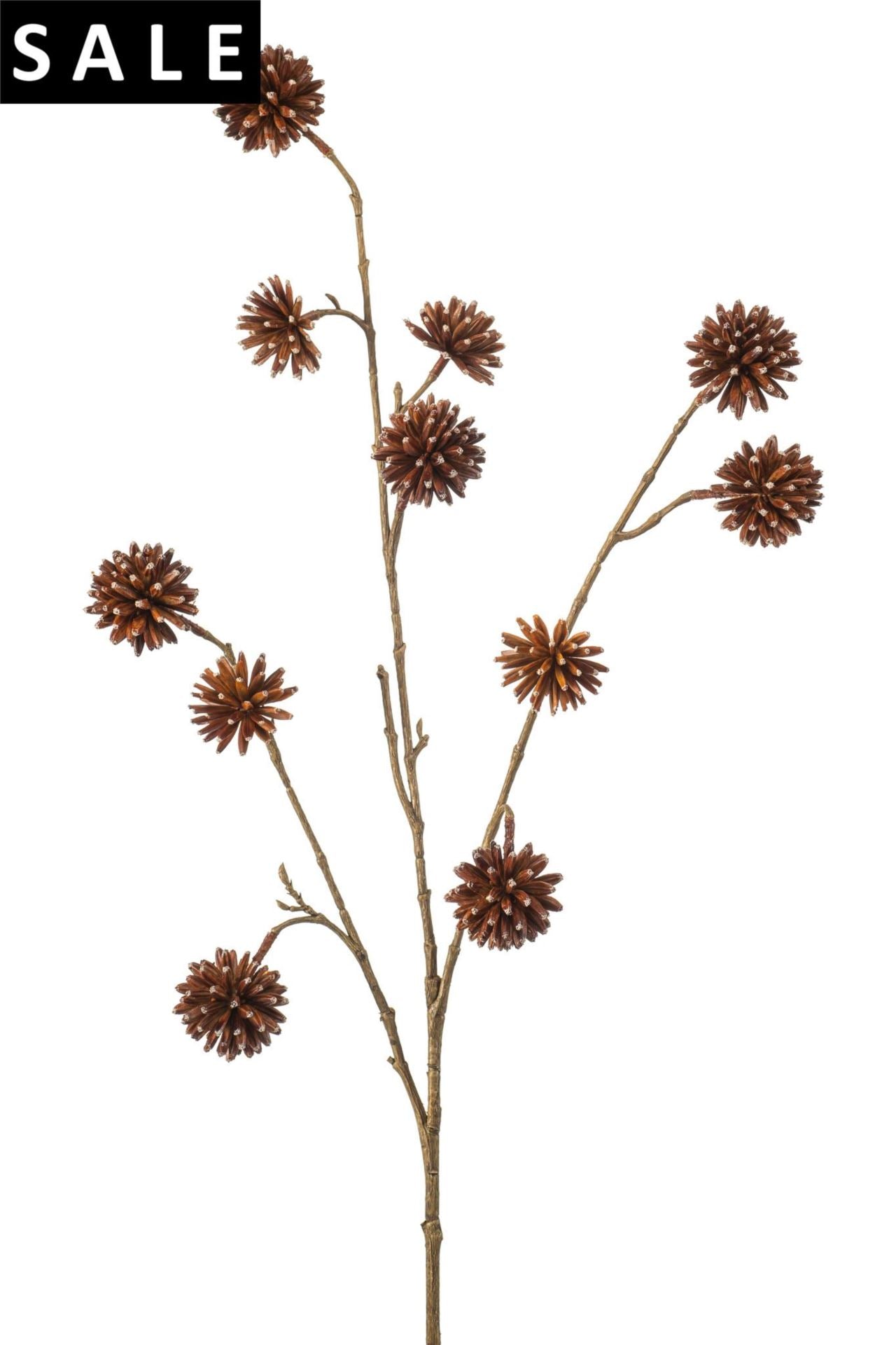 Camptotheca spray x3 brown 102cm