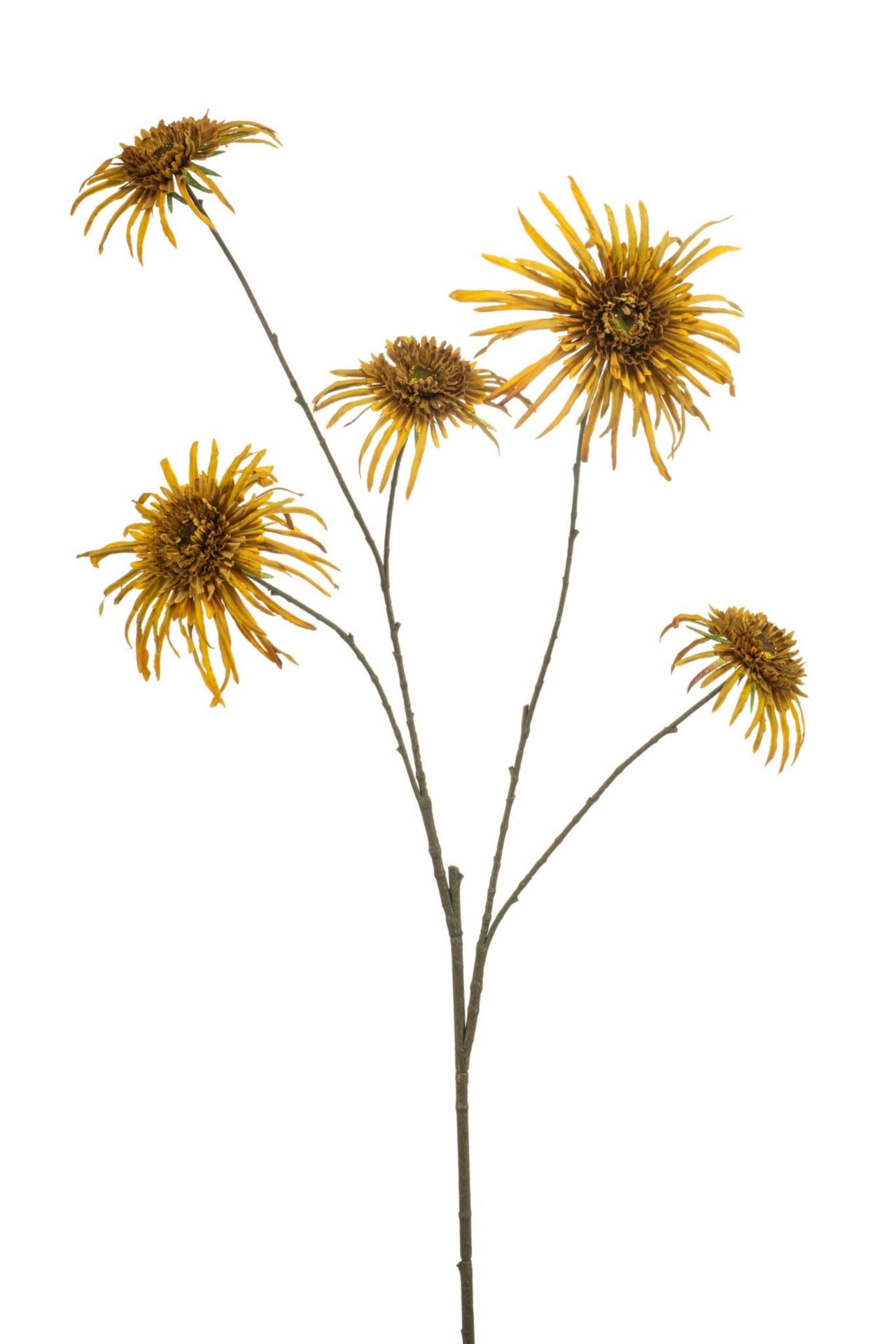 Chrysantum spider spray mustard 110