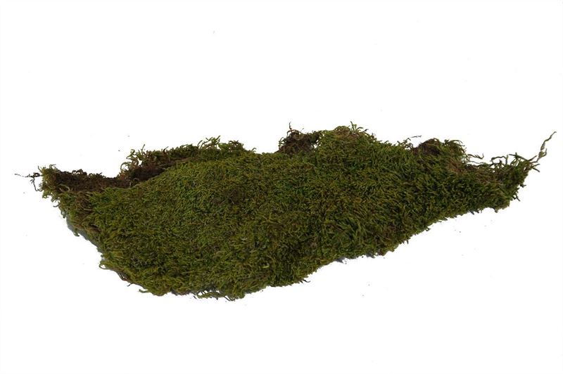 Lappenmos 500gr