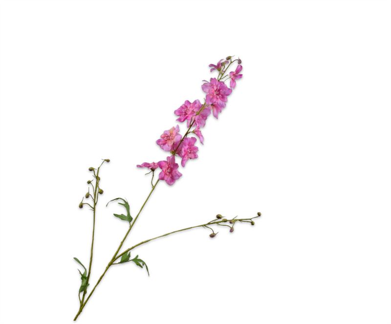Delphinium 101cm donker roze rt 24/