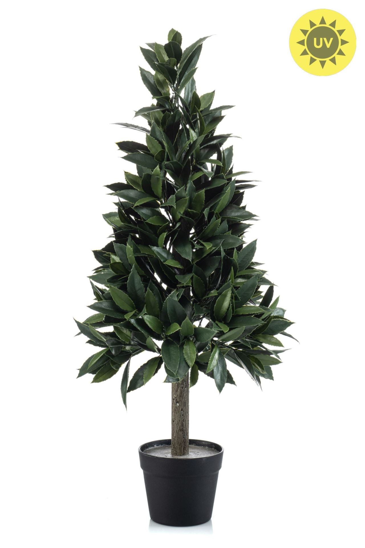 Laurel pyramid UV in pot 90cm