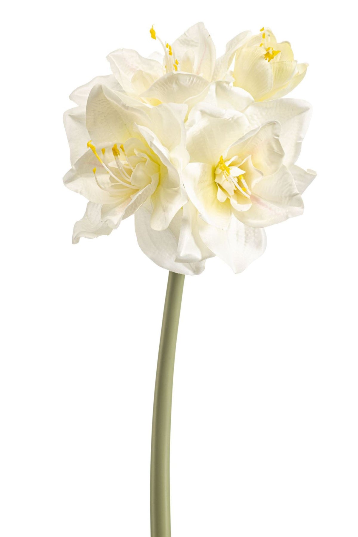 Amaryllis spray cream 72cm