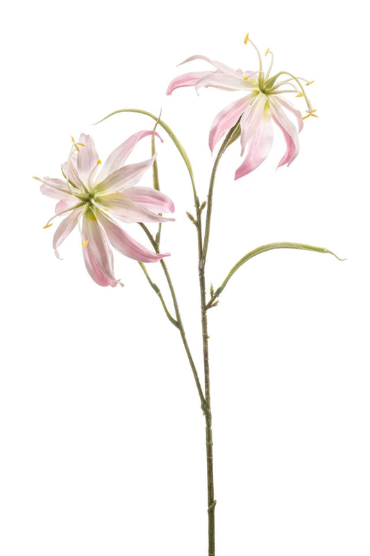 Gloriosa spray lt pink 58cm