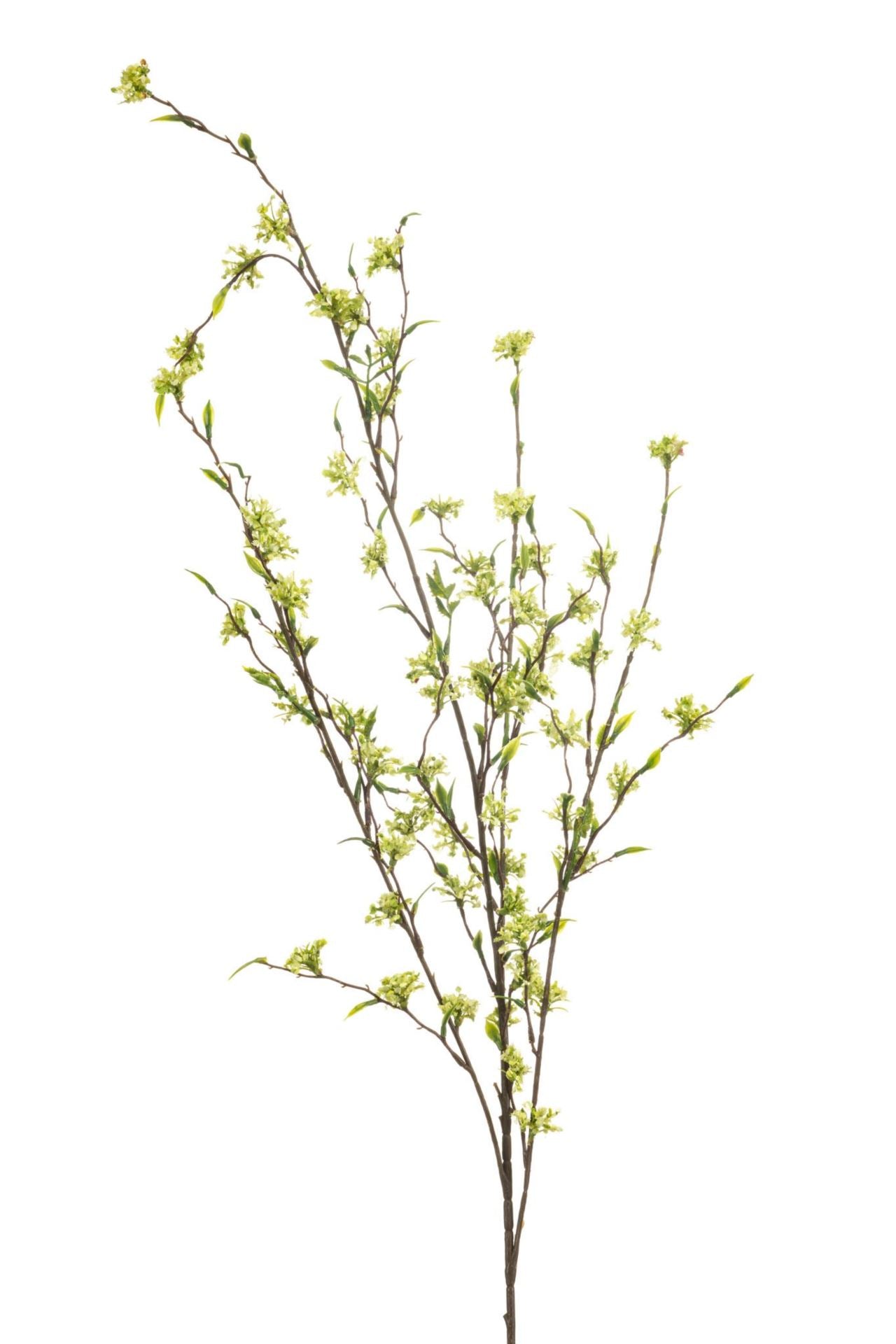 Viburnum mini spray green 90cm