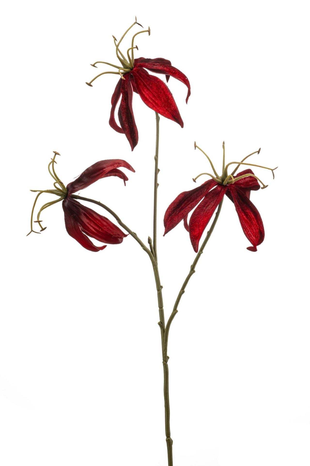 Gloriosa spray red 67cm