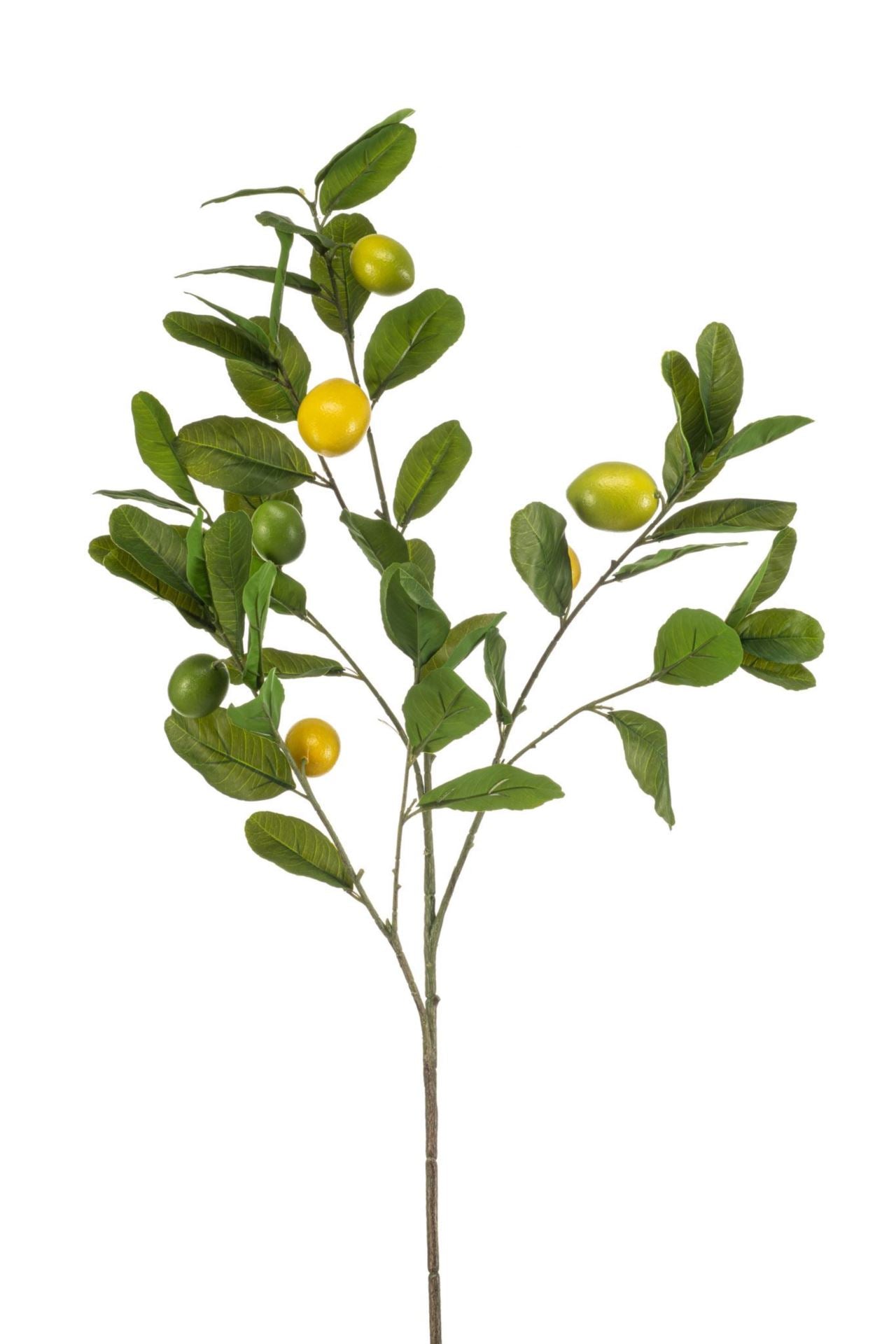 Lemon spray 112cm