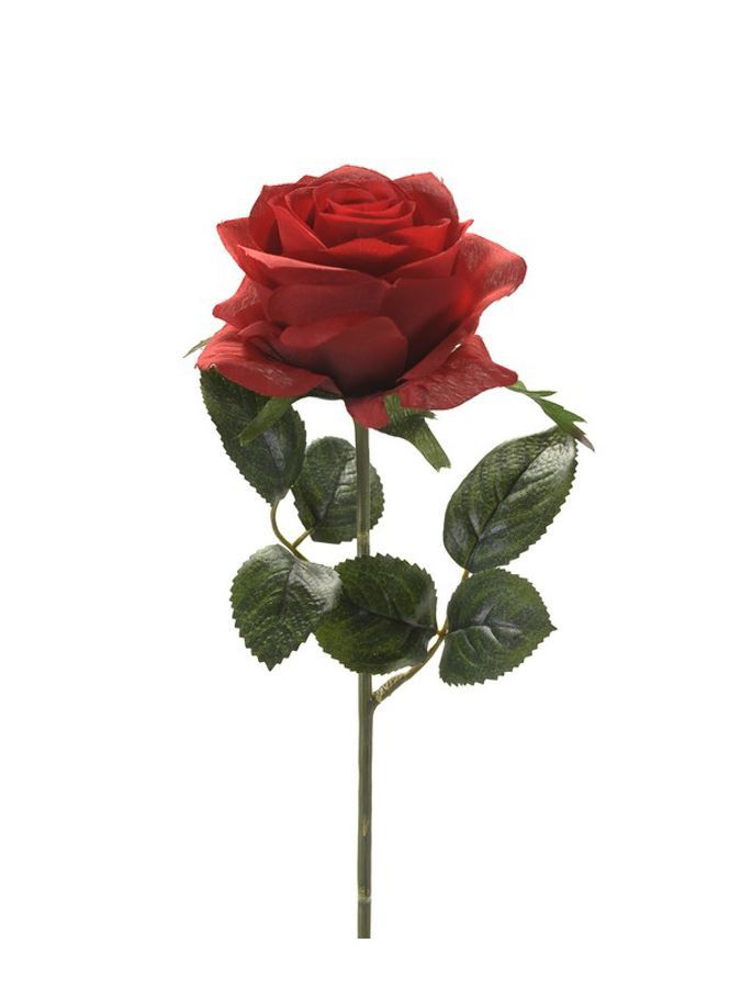 Rose simone spray red 45cm