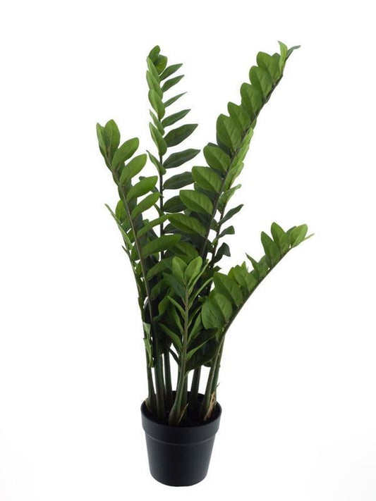 Zamioculcas in pot green 90cm