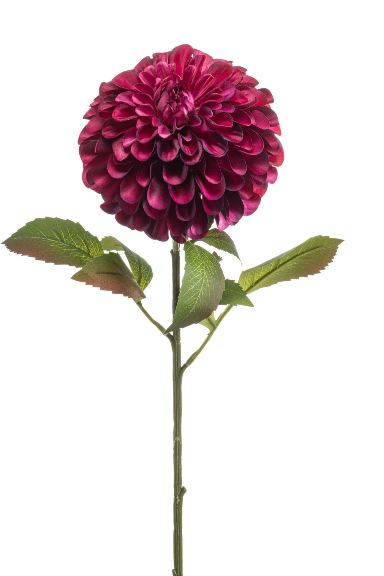 Dahlia pompon spray XL burgundy 77c