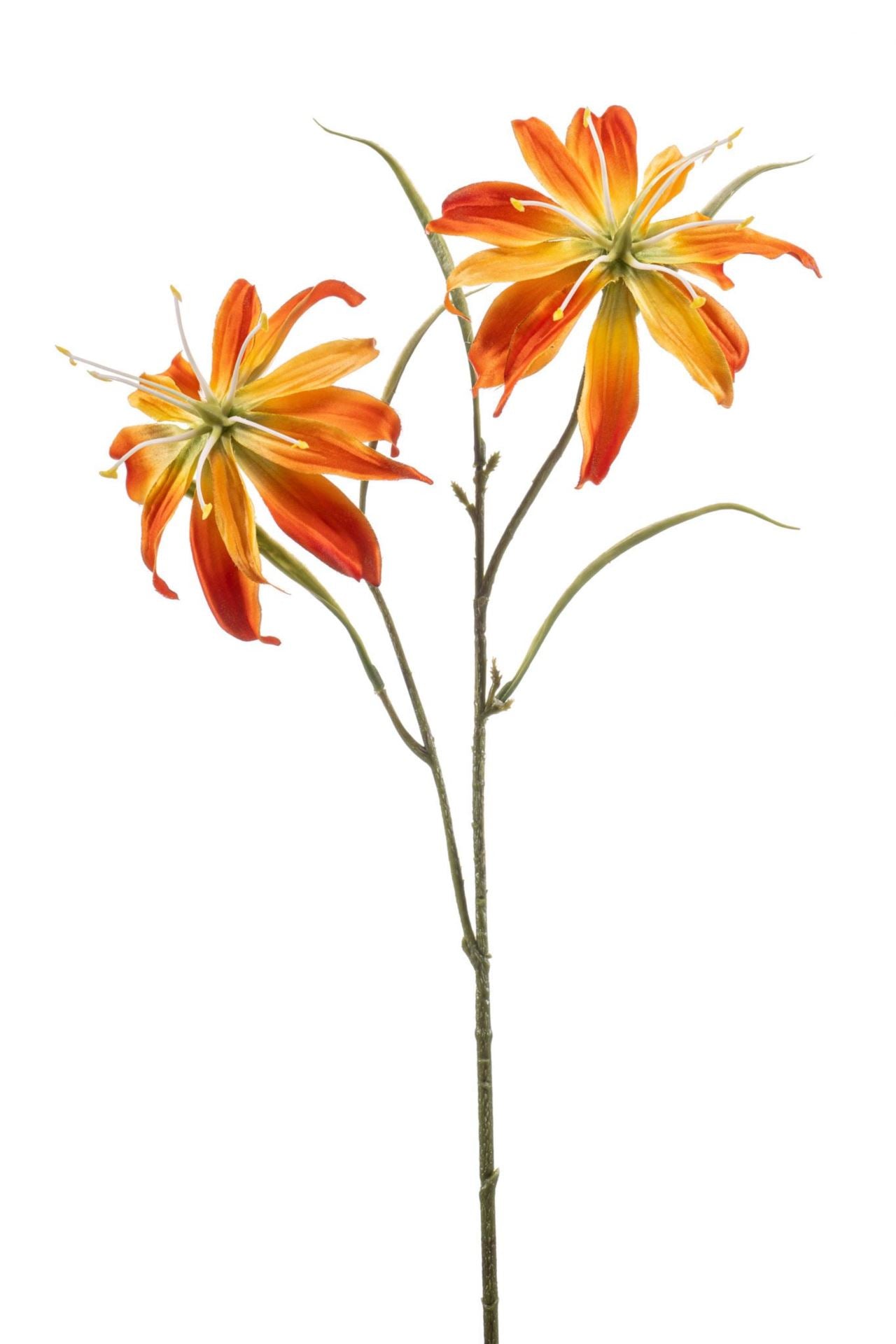 Gloriosa spray orange 58cm