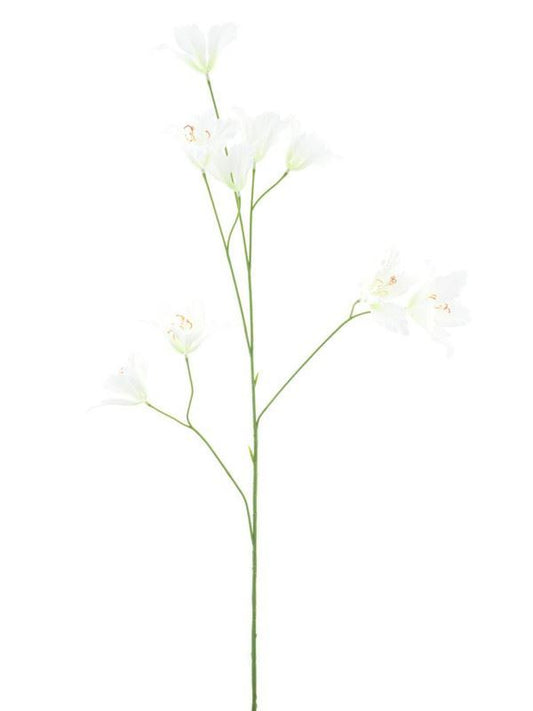 Wild lily spray cream 86cm