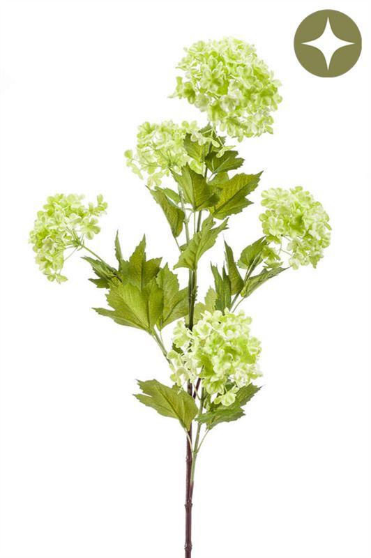 Viburnum tak x5 85cm lichtgroen 12/