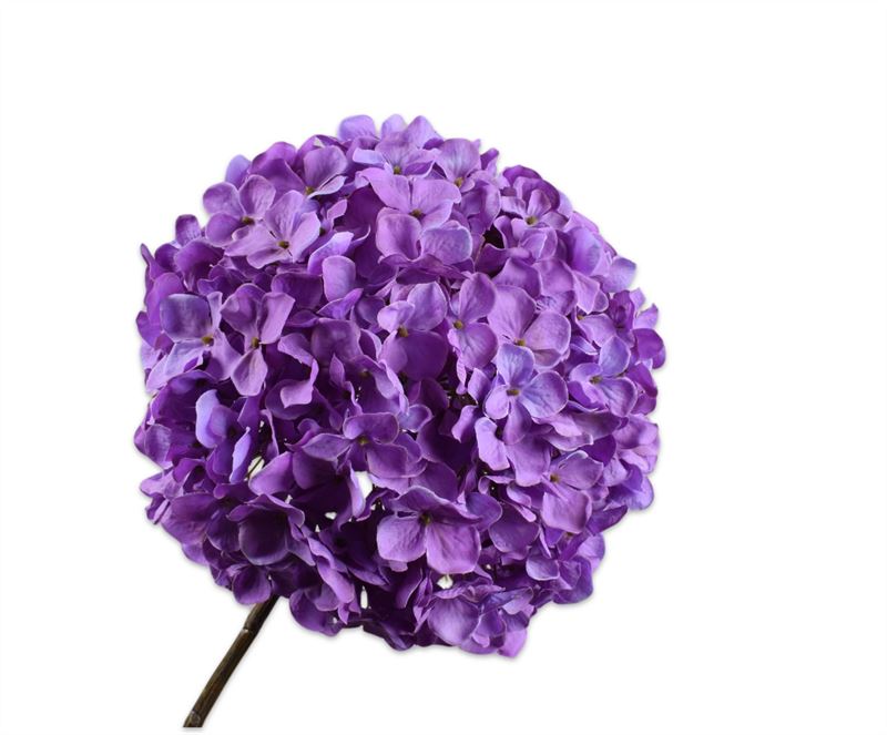Hortensia steel 79cm lavendel 6/ds