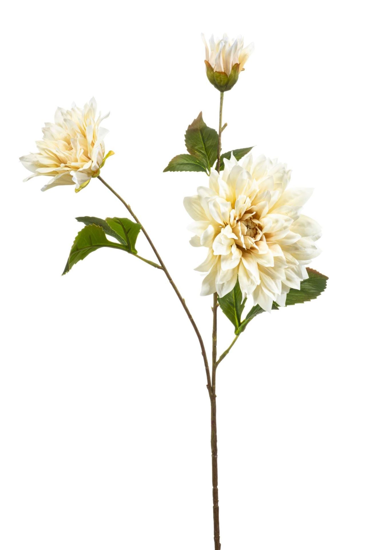 Dahlia spray cream 75cm