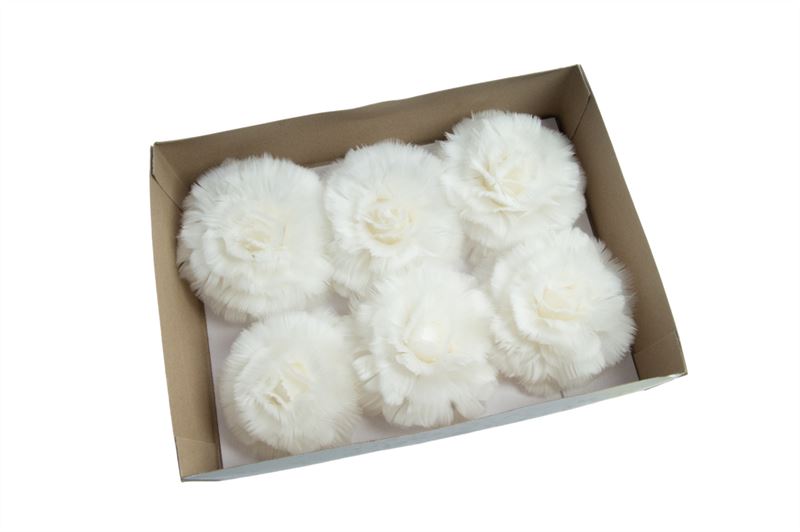 Rozen veren 10 cm met clip wit