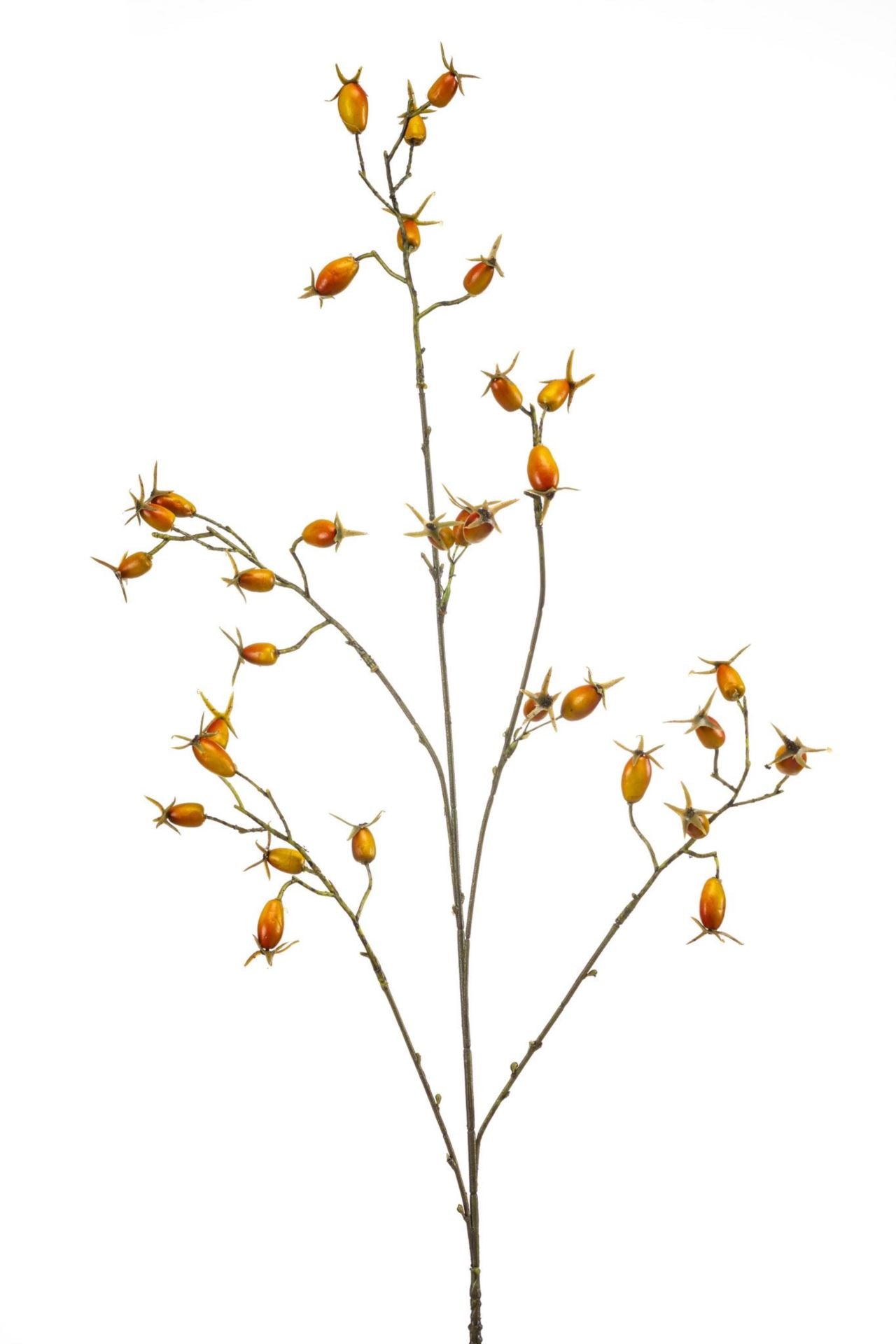 Rosehip spray orange 90cm