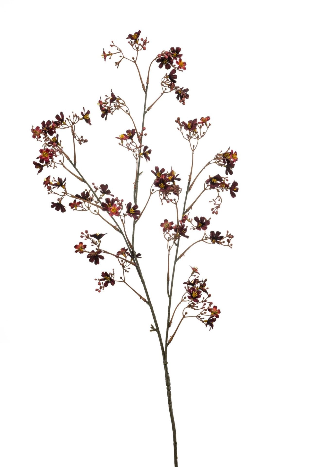 Daphne spray burgundy 105cm