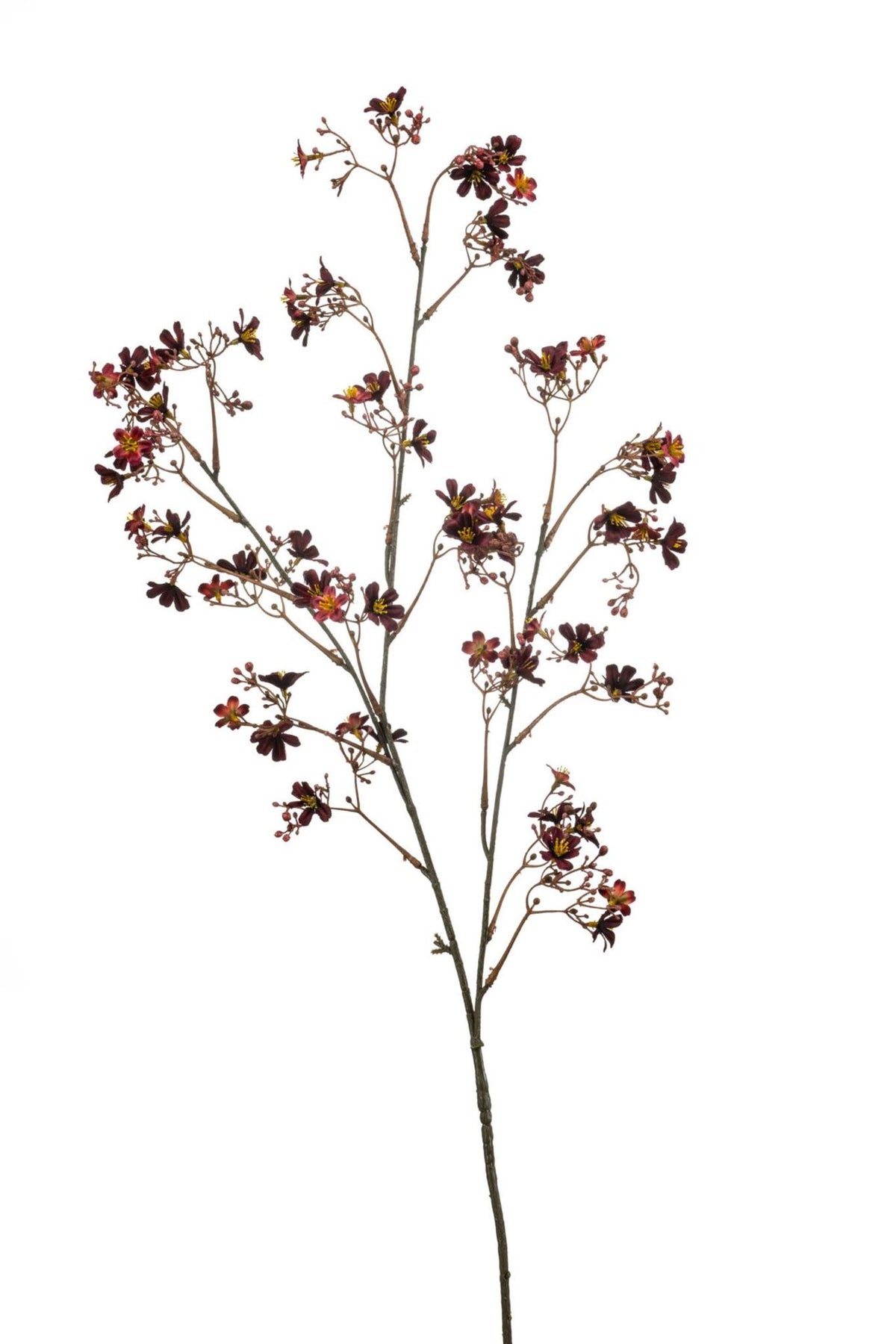 Daphne spray burgundy 105cm