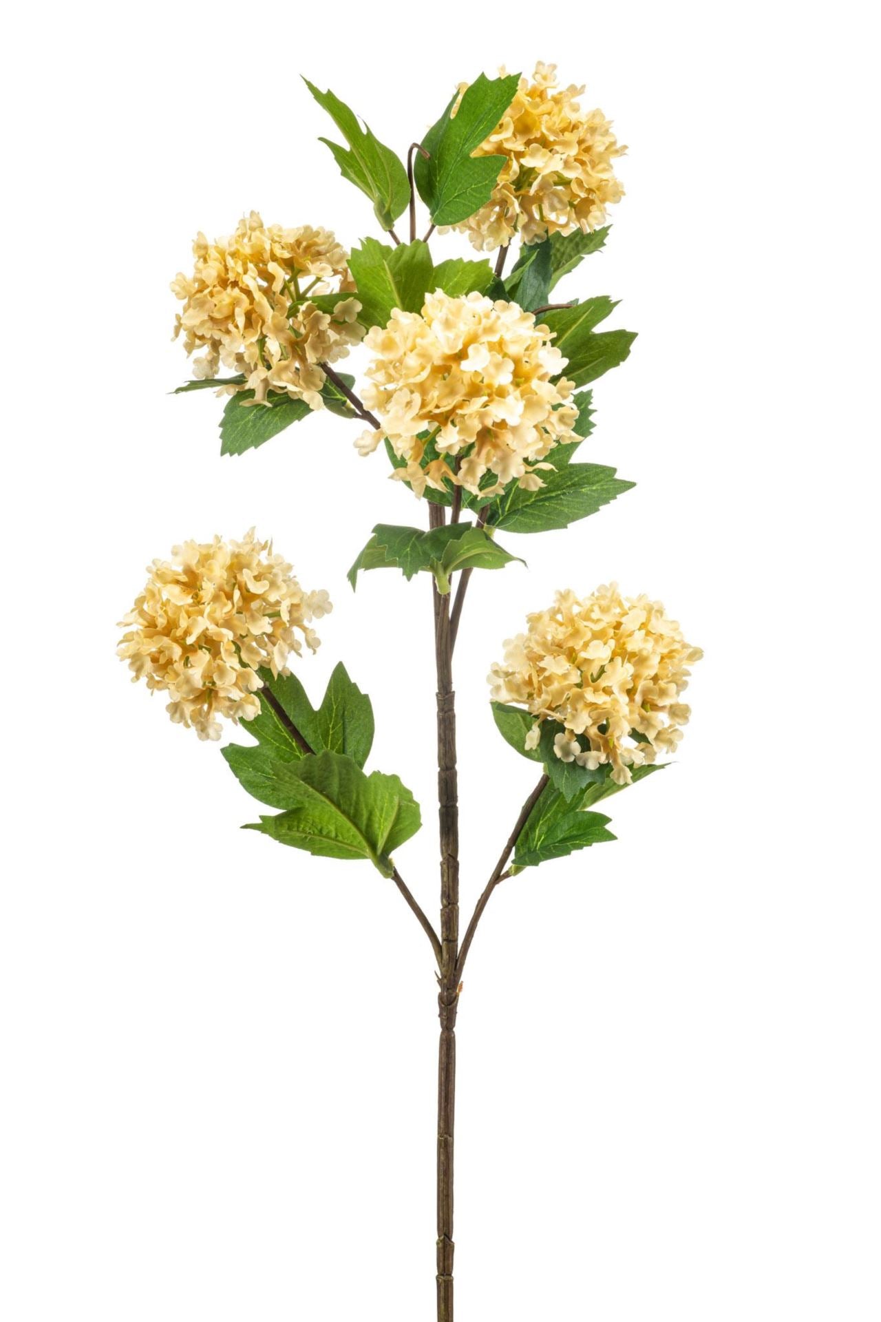 Viburnum spray beige 77cm
