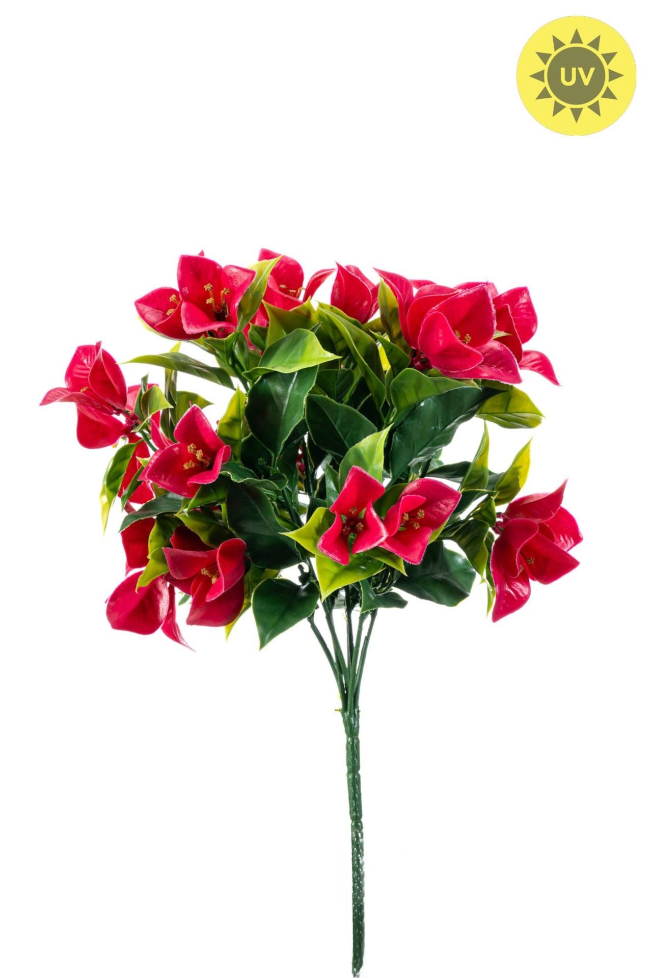 Bougainvillea bush UV red 30cm