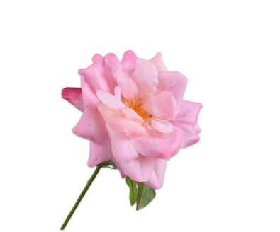 ROOS STEEL ROZE LT RT