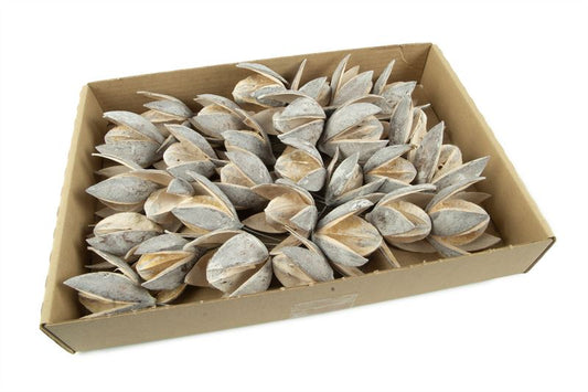 Wilde lelie o/dr. stone washed wit3
