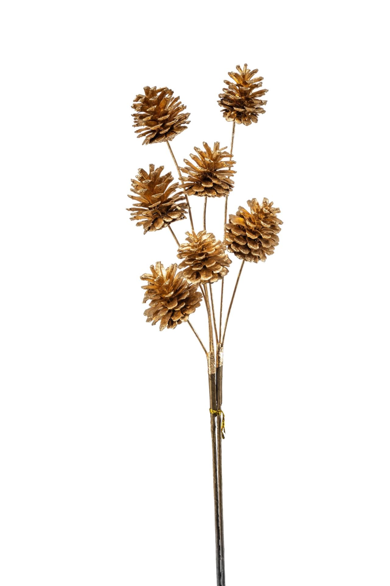 Cone bundle x7 gold 65cm