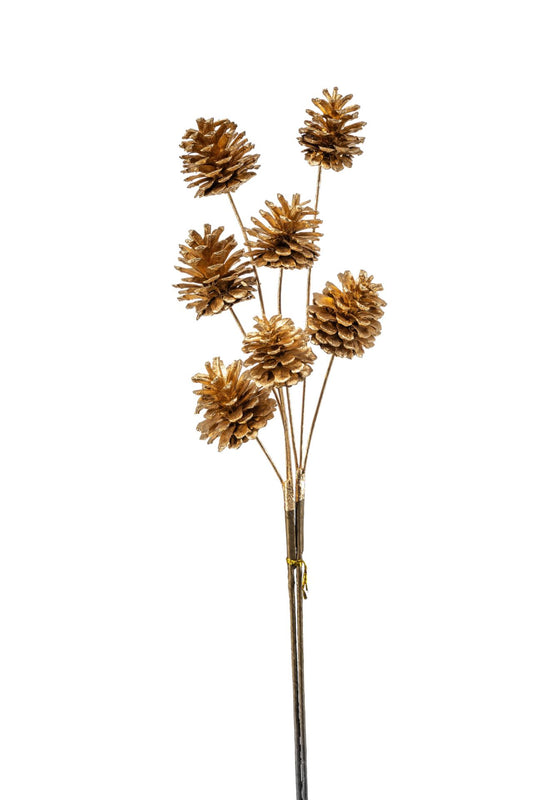 Cone bundle x7 gold 65cm