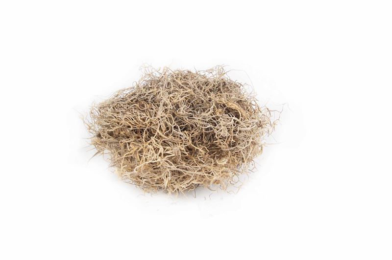 Forestmos naturel200 gr