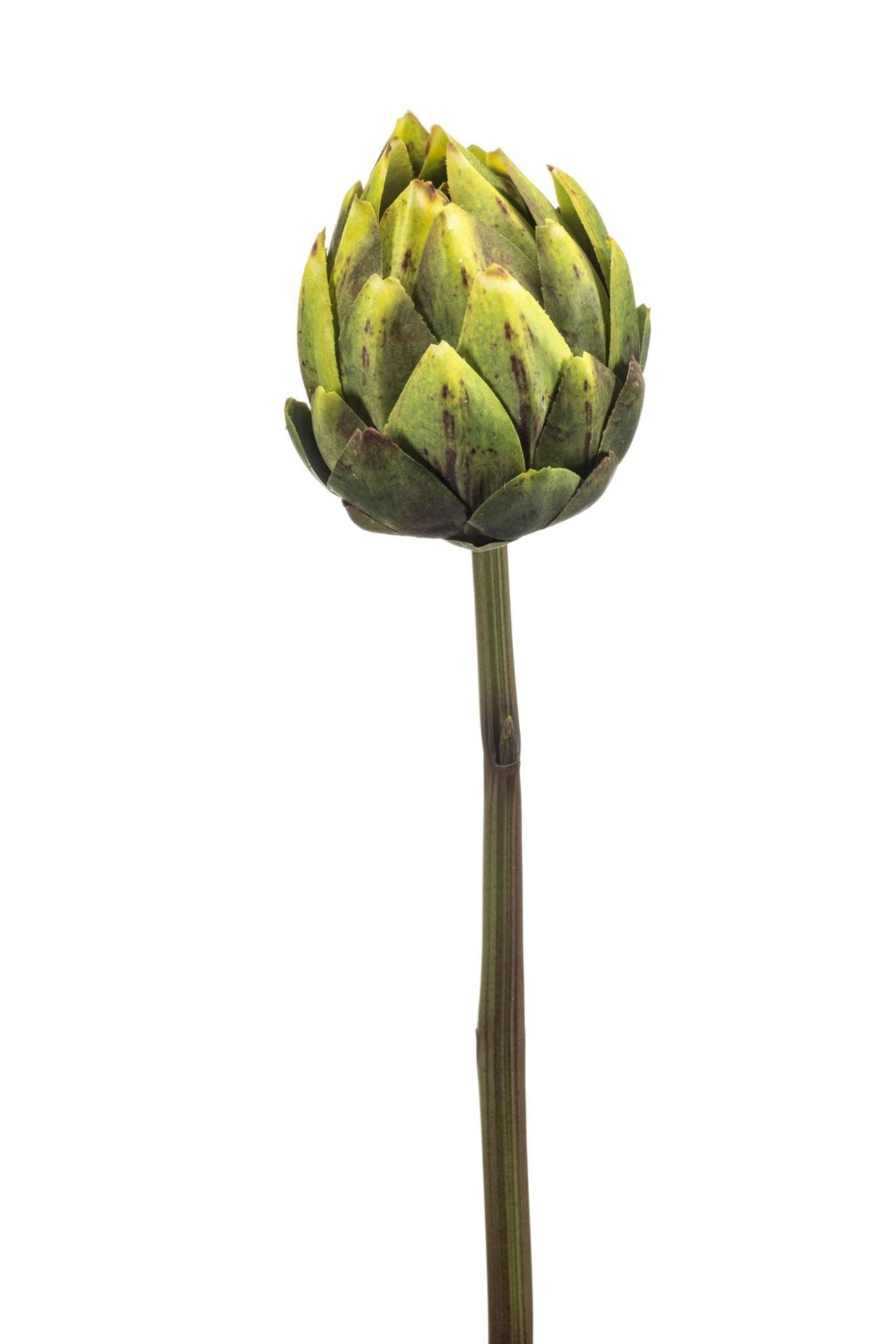 Artichoke spray rt green 58cm