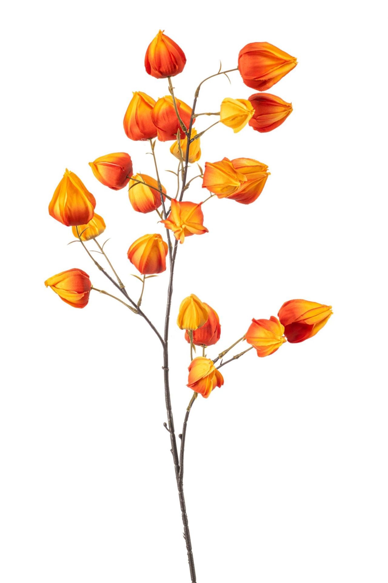 Physalis spray x4 orange 90cm