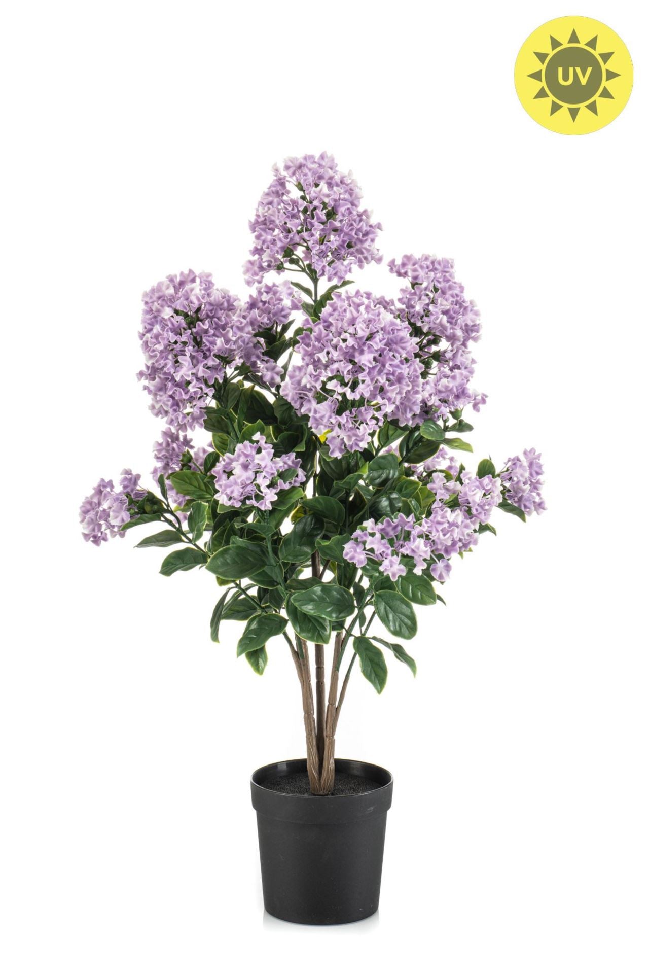 Syringa UV in pot lt purple 65cm