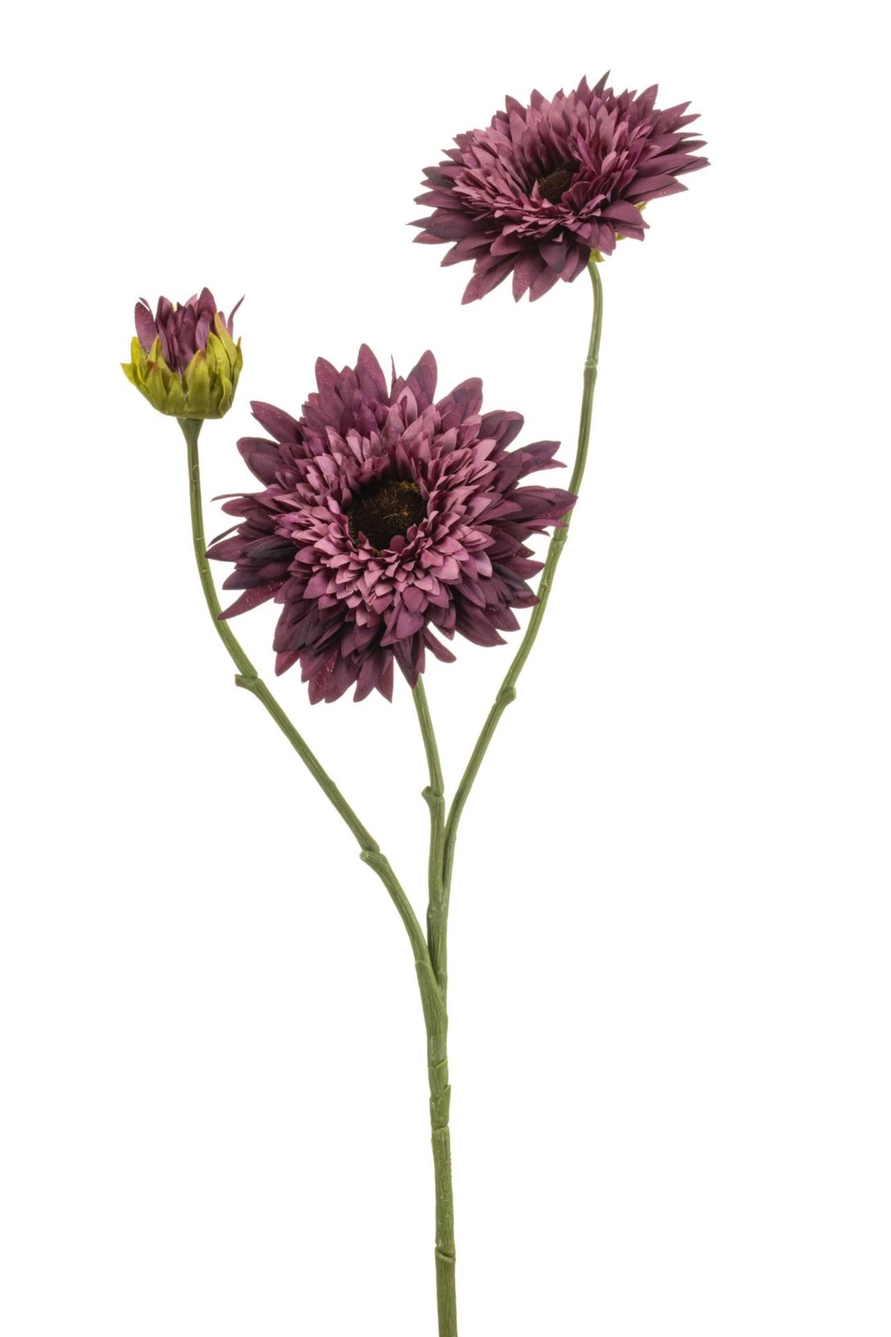 Helianthus spray purple 70cm