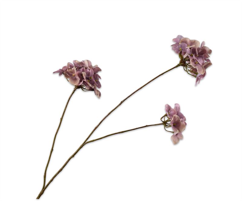 HORTENSIA TAK LAVEND  85 cm