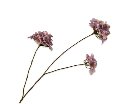 HORTENSIA TAK LAVEND  85 cm