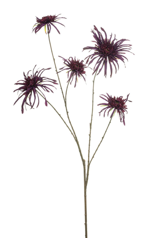 Chrysantum spider spray puple 110cm