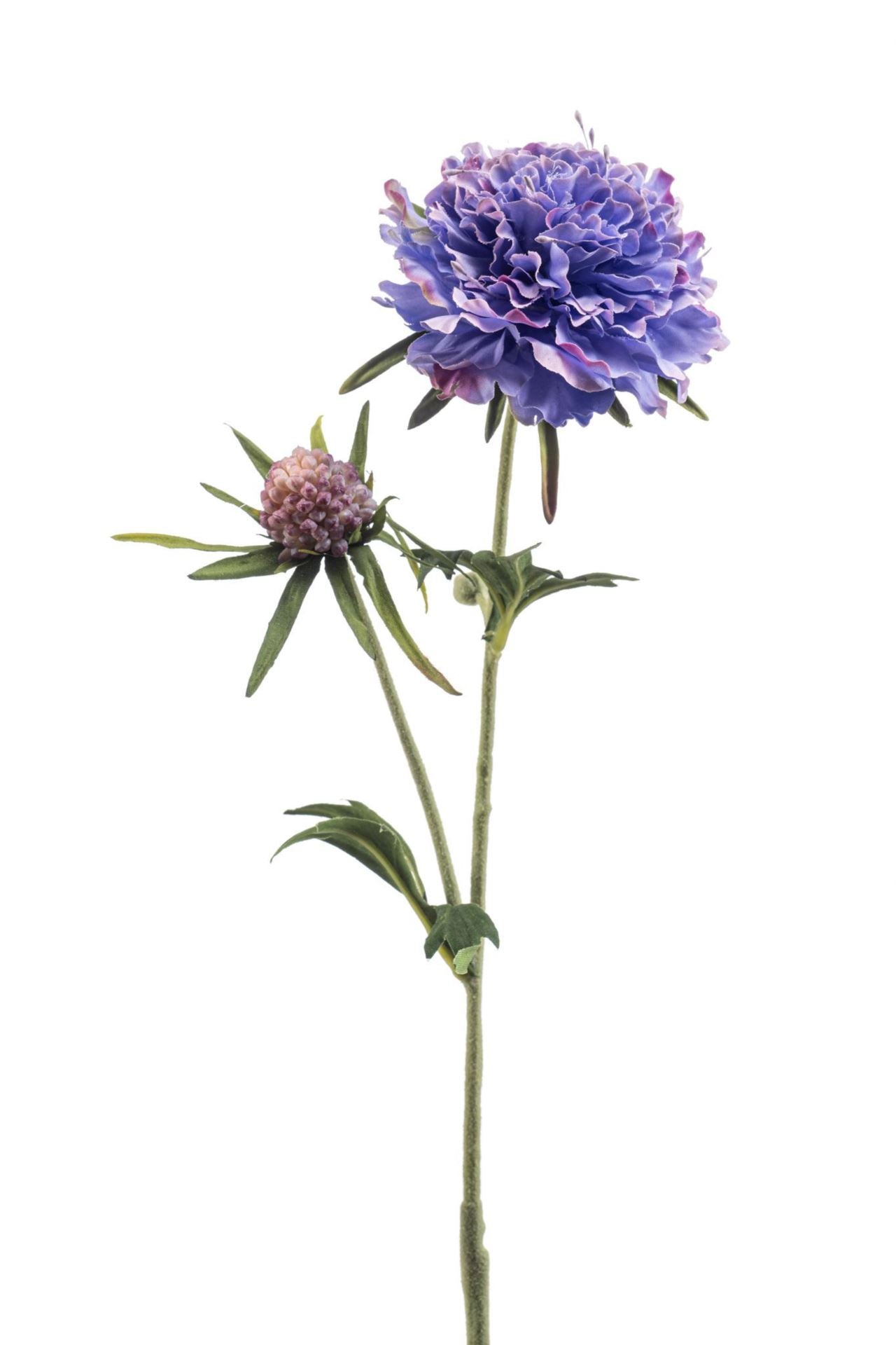 Scabiosa spray blue 57cm