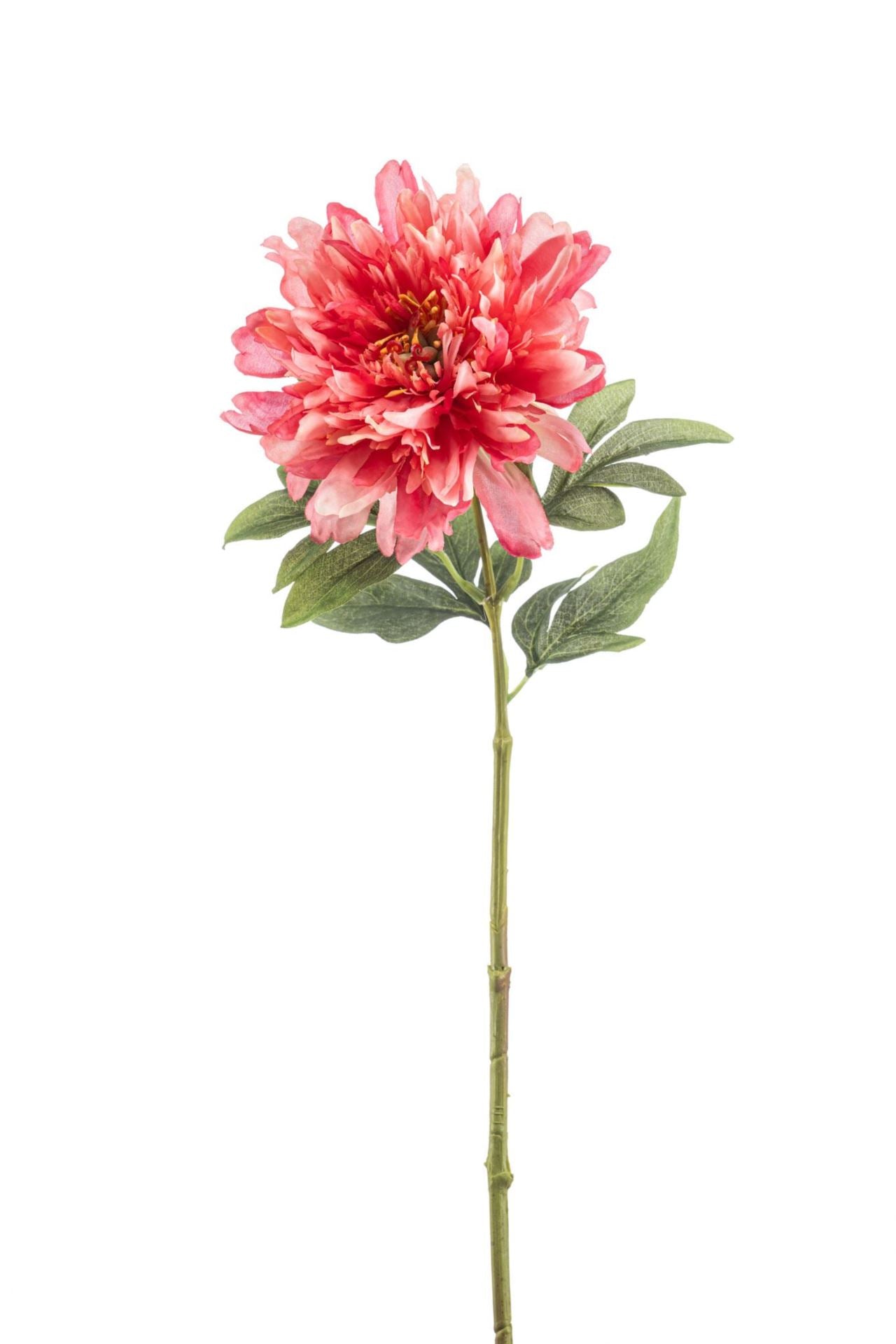 Peony spray coral 58cm