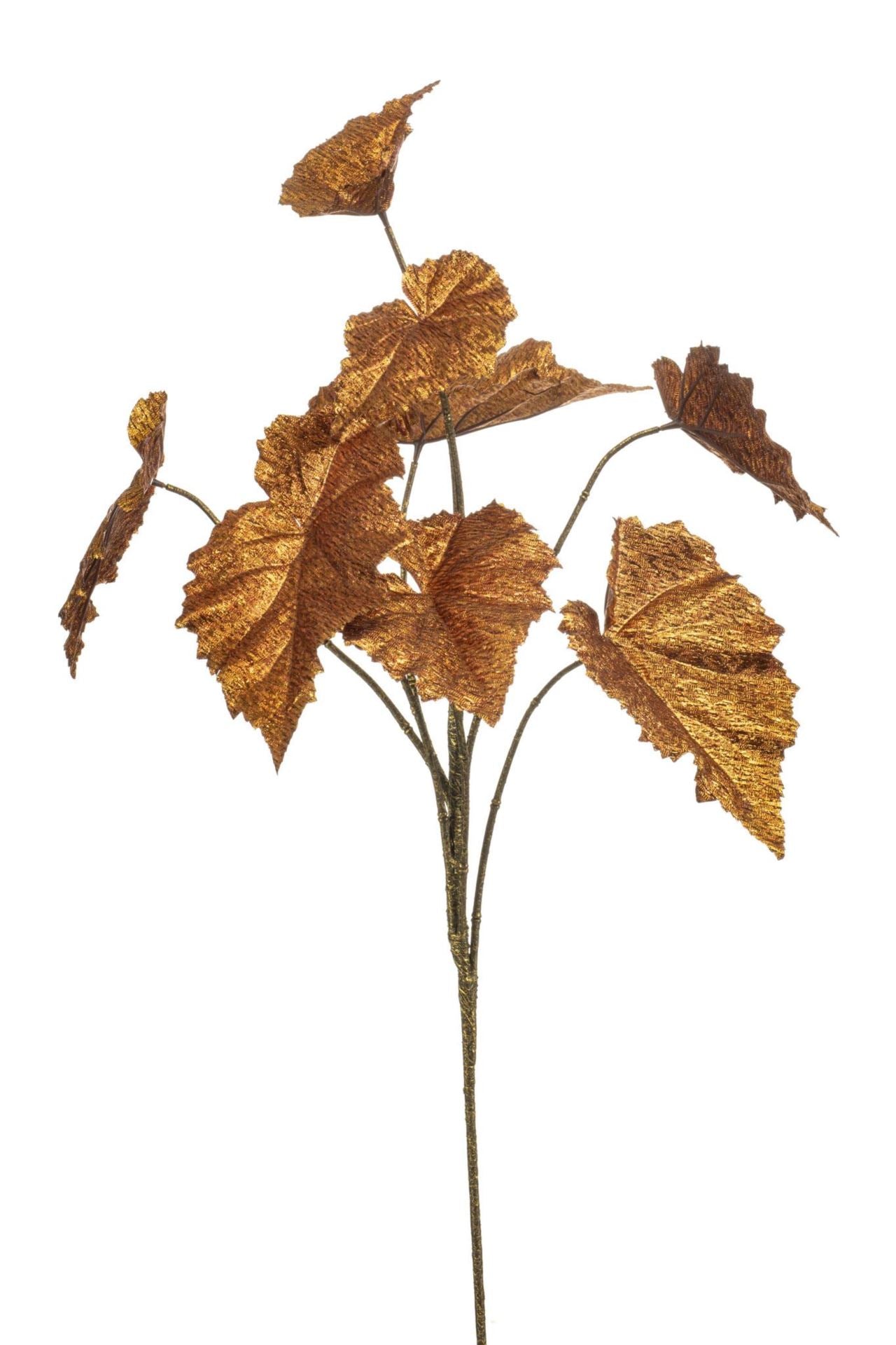 Begonia rex lvs spray copper flamed